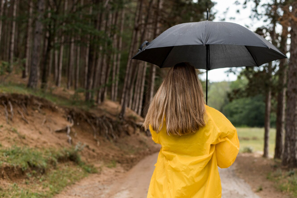 «Нейрометеум» создает глобальный прогноз погоды за несколько минут