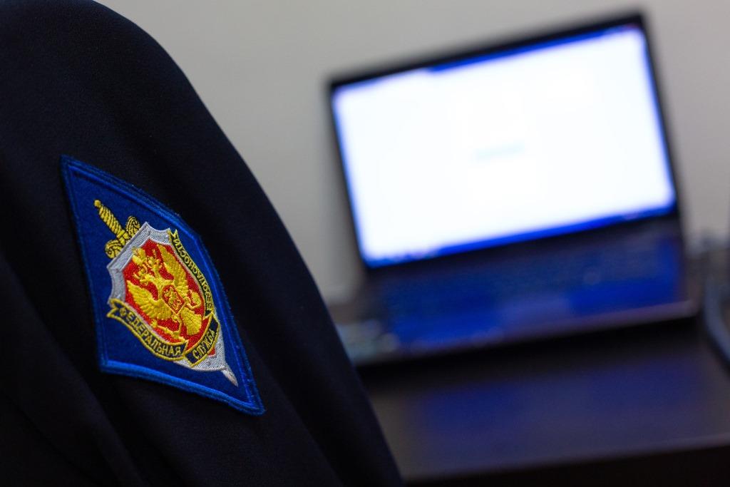 В МВД предупредили, что мошенники подделали их сайт, чтобы красть данные россиян